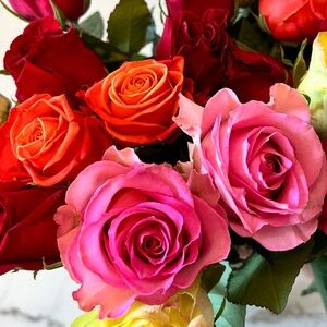 Meet your Posher, Nyla